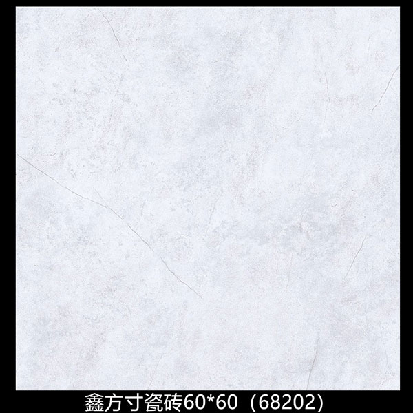 68202