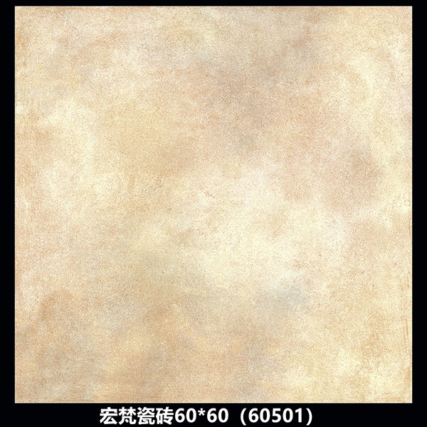 60501